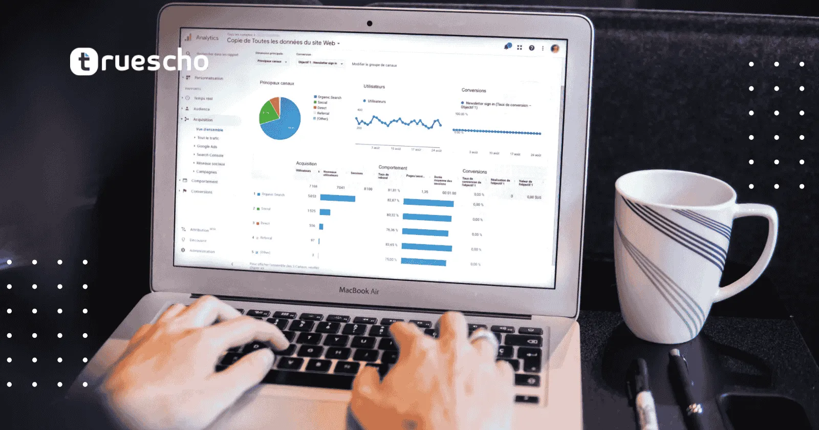 هل تدعم بلوهوست اللغة العربية في لوحة التحكم