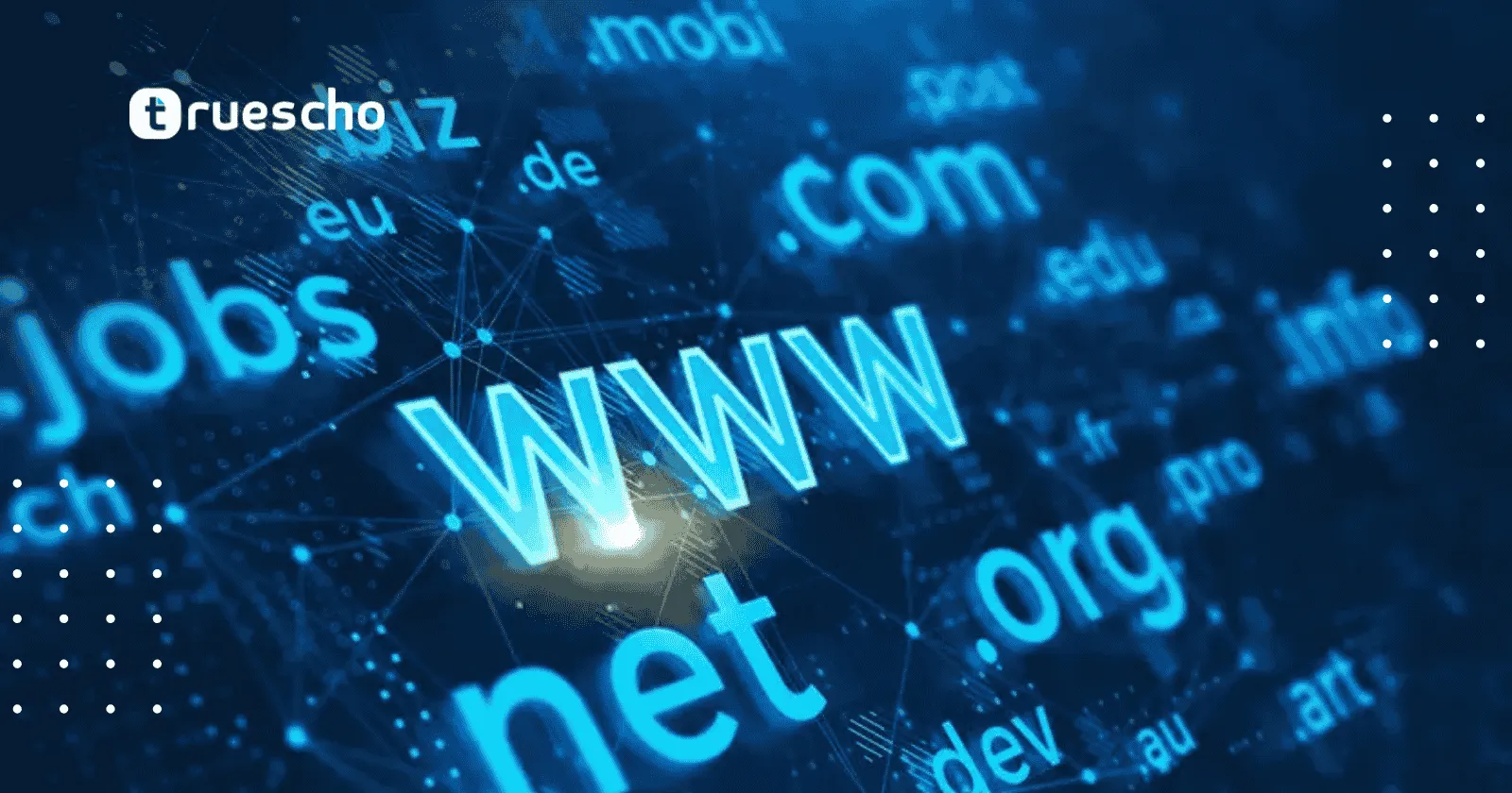 ربط دومين مسجل من شركة أخرى ببلوهوست